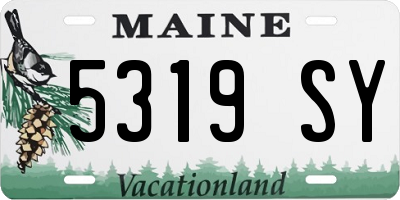 ME license plate 5319SY