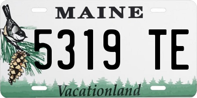 ME license plate 5319TE