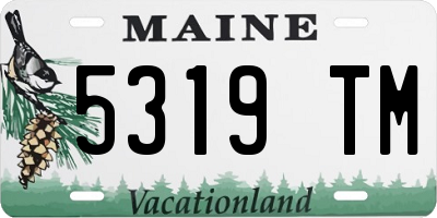 ME license plate 5319TM