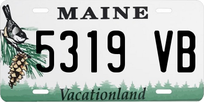 ME license plate 5319VB