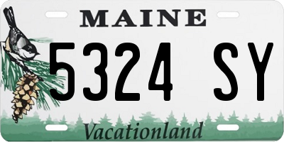 ME license plate 5324SY