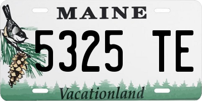 ME license plate 5325TE