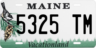 ME license plate 5325TM