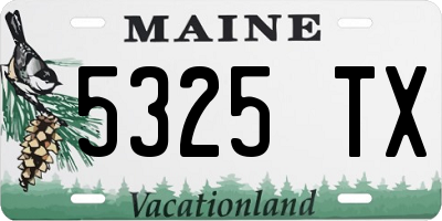 ME license plate 5325TX