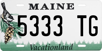 ME license plate 5333TG