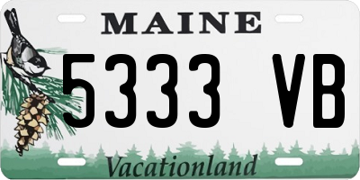 ME license plate 5333VB