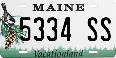 ME license plate 5334SS