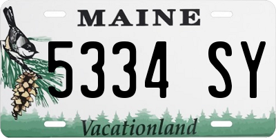 ME license plate 5334SY