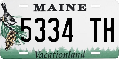 ME license plate 5334TH