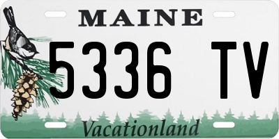 ME license plate 5336TV