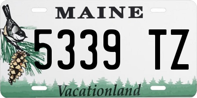 ME license plate 5339TZ