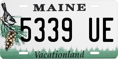 ME license plate 5339UE