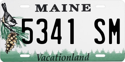 ME license plate 5341SM