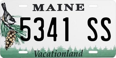 ME license plate 5341SS