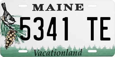 ME license plate 5341TE