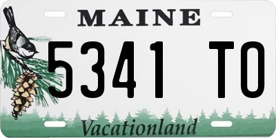 ME license plate 5341TO