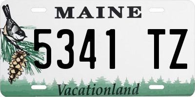 ME license plate 5341TZ