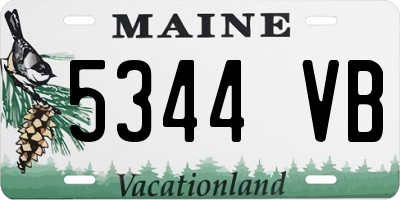 ME license plate 5344VB