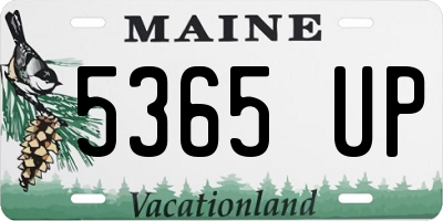 ME license plate 5365UP