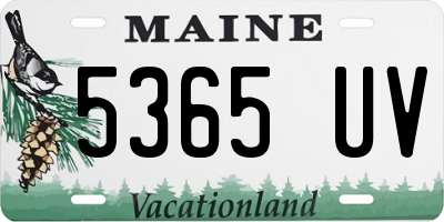 ME license plate 5365UV