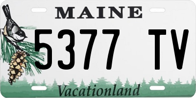 ME license plate 5377TV