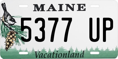 ME license plate 5377UP