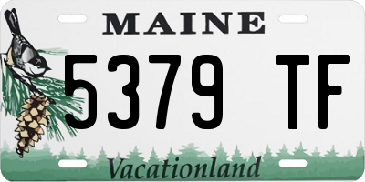ME license plate 5379TF