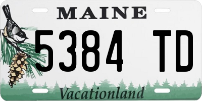 ME license plate 5384TD