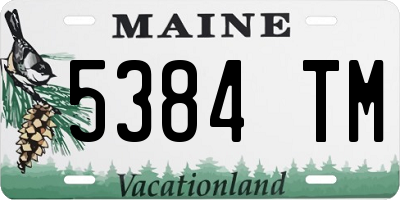 ME license plate 5384TM