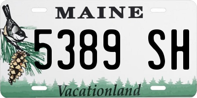 ME license plate 5389SH