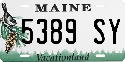 ME license plate 5389SY
