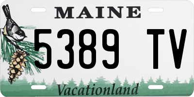 ME license plate 5389TV