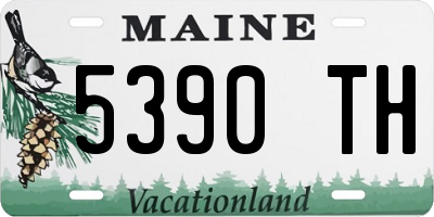 ME license plate 5390TH