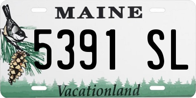 ME license plate 5391SL