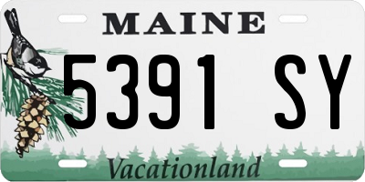 ME license plate 5391SY