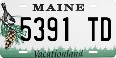 ME license plate 5391TD