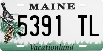 ME license plate 5391TL