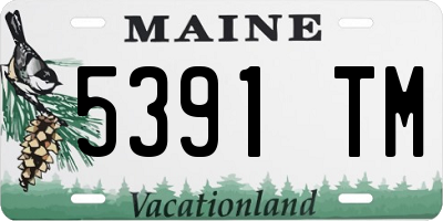 ME license plate 5391TM