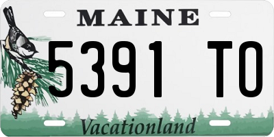 ME license plate 5391TO