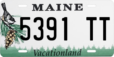 ME license plate 5391TT