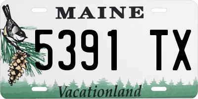 ME license plate 5391TX