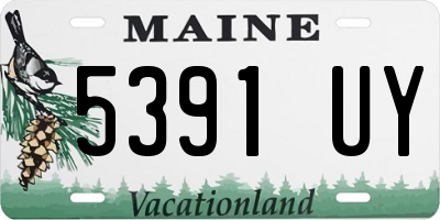 ME license plate 5391UY