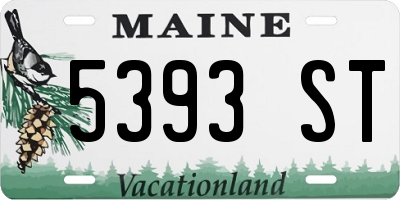 ME license plate 5393ST
