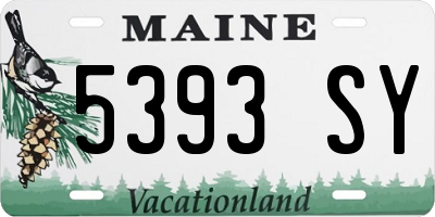 ME license plate 5393SY