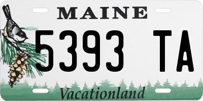 ME license plate 5393TA