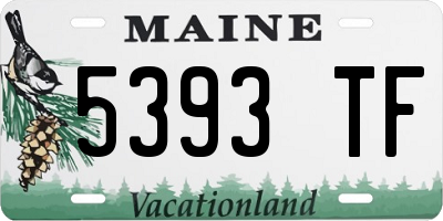 ME license plate 5393TF