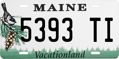 ME license plate 5393TI