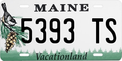 ME license plate 5393TS