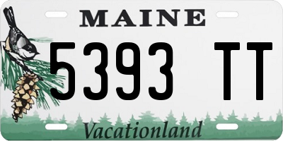 ME license plate 5393TT