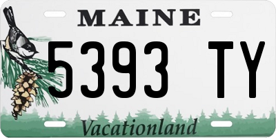 ME license plate 5393TY
